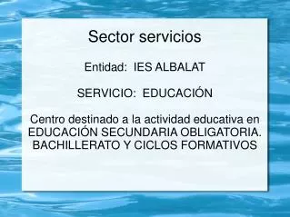 sector servicios