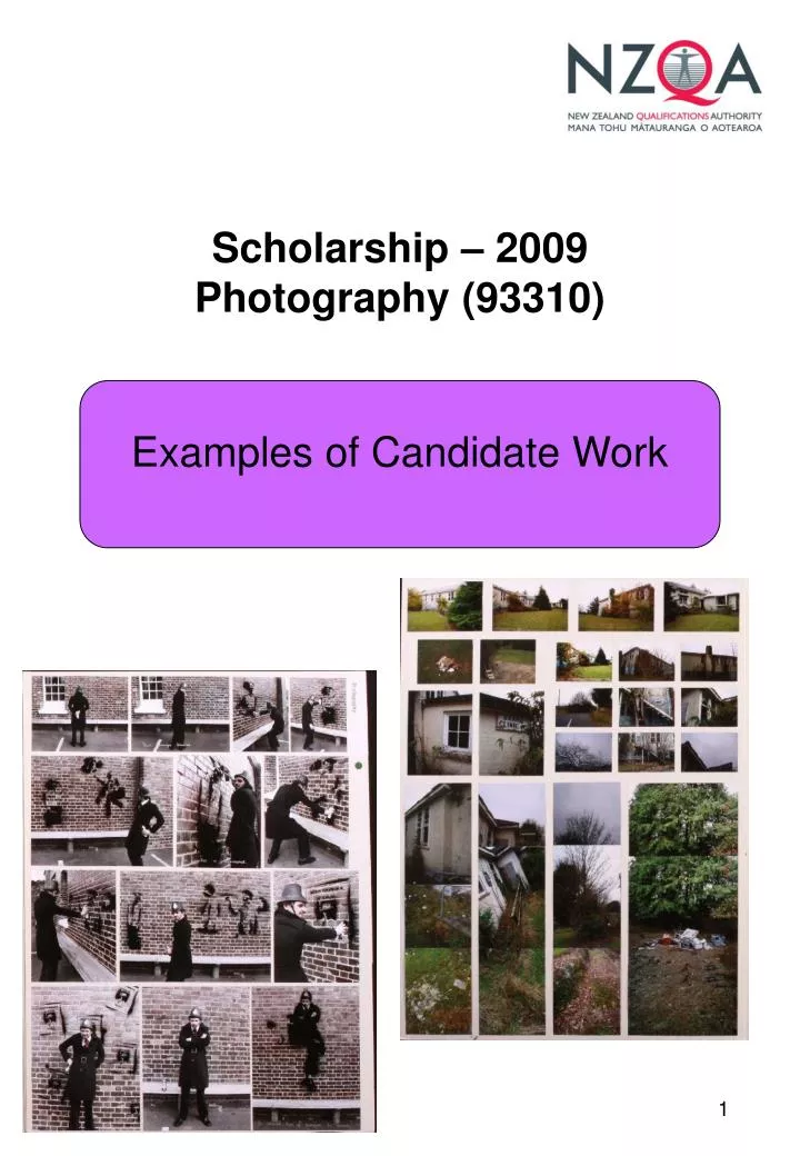 scholarship 2009 photography 93310