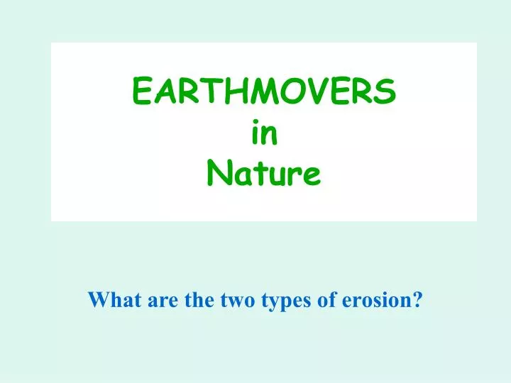 earthmovers in nature