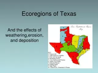 Ecoregions of Texas