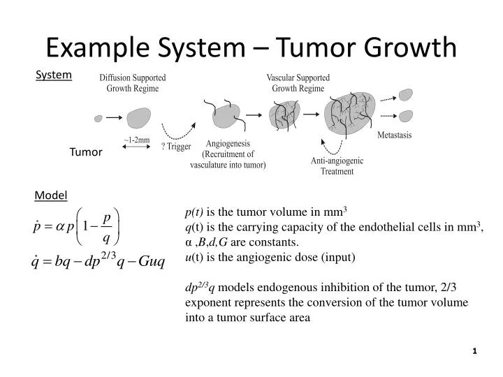 example system tumor growth