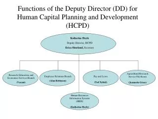 Functions of the Deputy Director (DD) for Human Capital Planning and Development (HCPD)