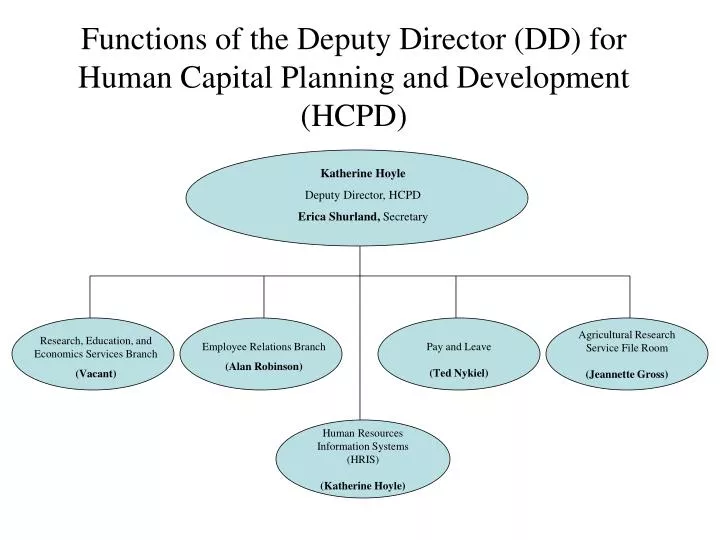 functions of the deputy director dd for human capital planning and development hcpd