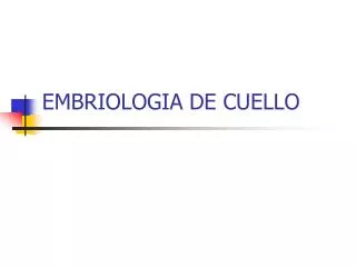 embriologia de cuello