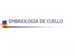 EMBRIOLOGIA DE CUELLO - slide 1