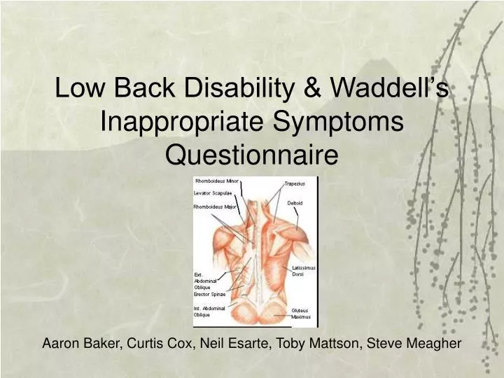 low back disability waddell s inappropriate symptoms questionnaire