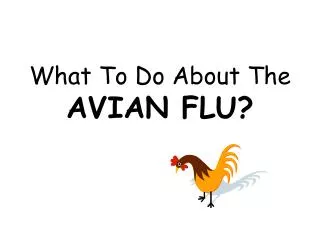 What To Do About The AVIAN FLU?
