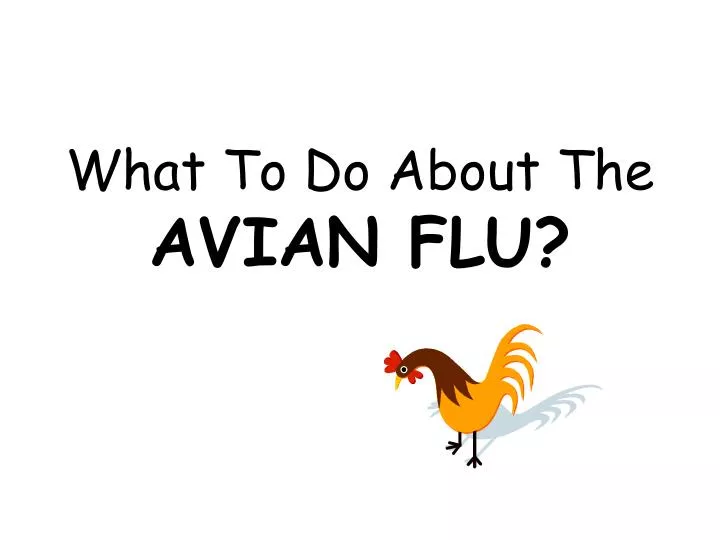 what to do about the avian flu