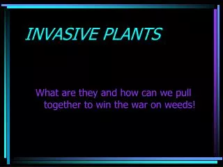 INVASIVE PLANTS