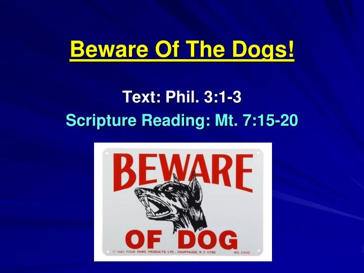 beware of the dogs