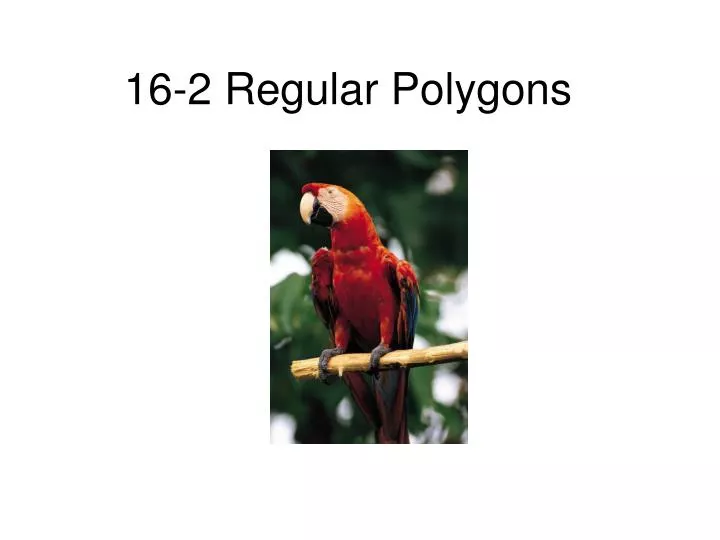 16 2 regular polygons