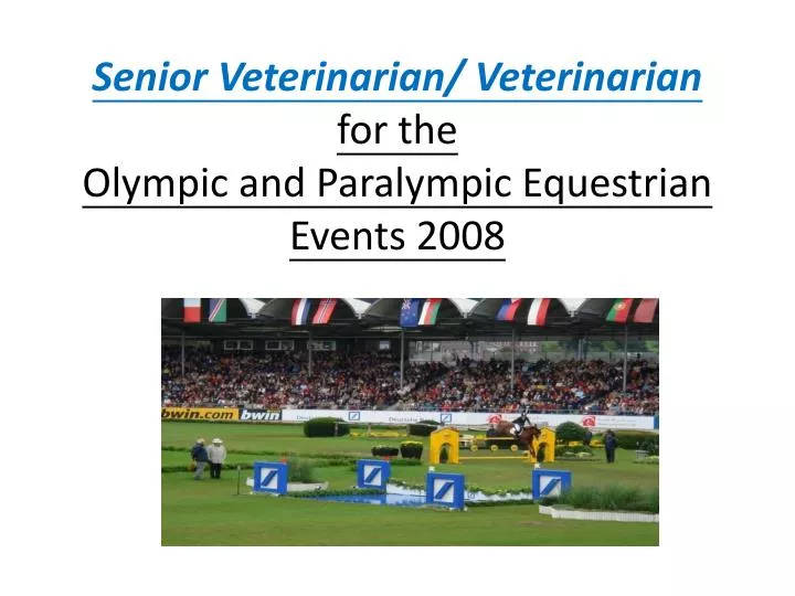 senior veterinarian veterinarian for the olympic and paralympic equestrian events 2008