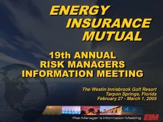 ENERGY 	INSURANCE 		MUTUAL