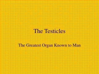 The Testicles
