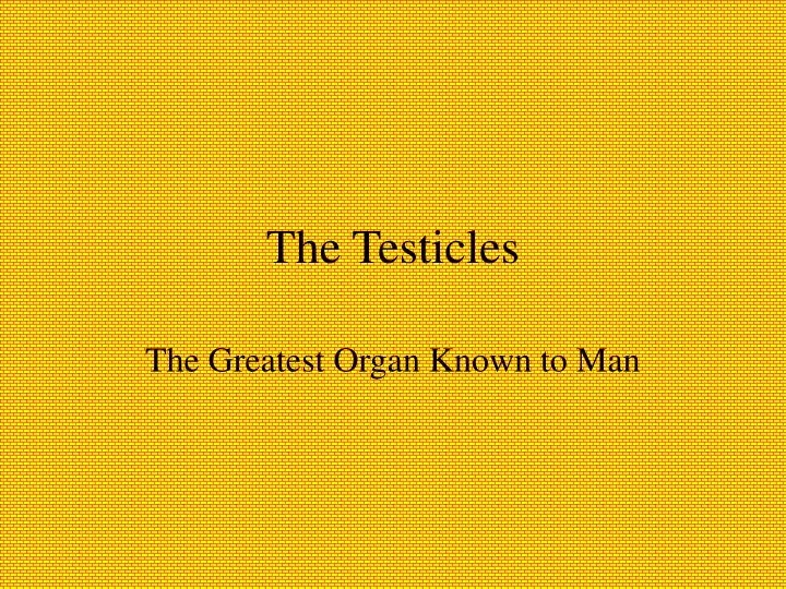 the testicles