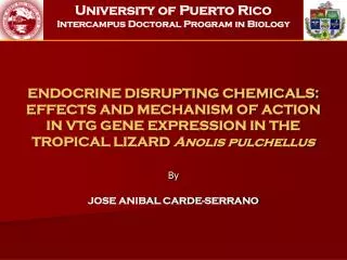 ENDOCRINE DISRUPTING CHEMICALS: EFFECTS AND MECHANISM OF ACTION IN VTG GENE EXPRESSION IN THE TROPICAL LIZARD Anolis pu