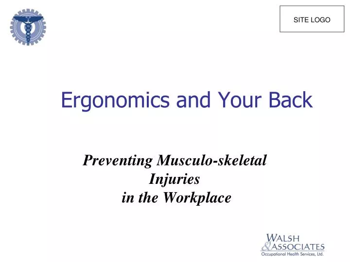 ergonomics and your back