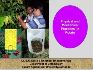 Physical and Mechanical Practices in Potato