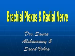 Brachial Plexus &amp; Radial Nerve