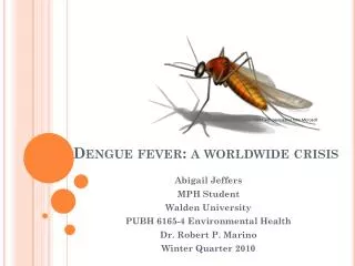 Dengue fever: a worldwide crisis