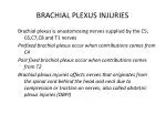 BRACHIAL PLEXUS INJURIES - slide 1