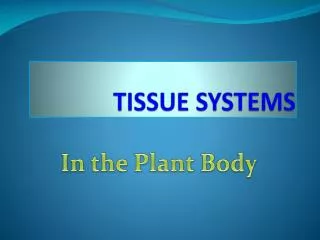 TISSUE SYSTEMS