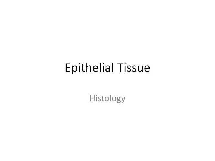 epithelial tissue