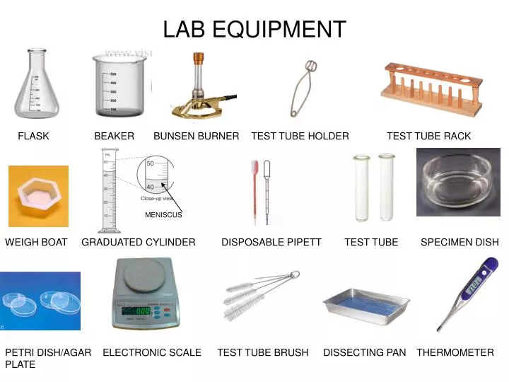 PPT - LAB EQUIPMENT PowerPoint Presentation, free download - ID:1793177