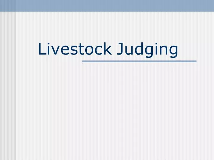 livestock judging