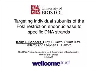 Targeting individual subunits of the FokI restriction endonuclease to specific DNA strands