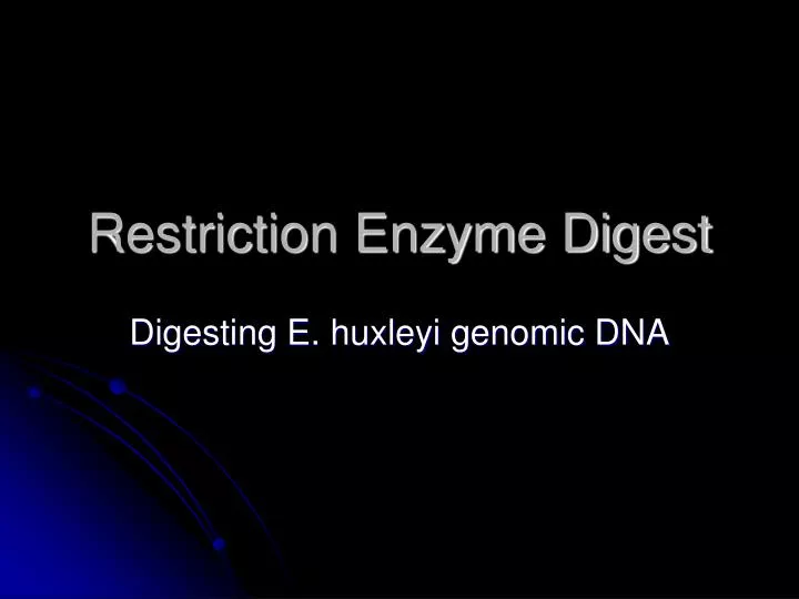 restriction enzyme digest