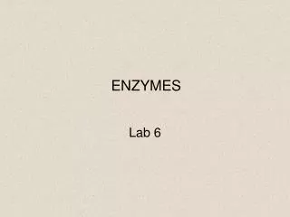 ENZYMES