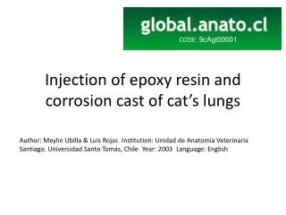 Injection of epoxy resin and corrosion cast of cat’s lungs
