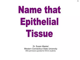 Name that Epithelial Tissue