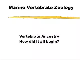 Marine Vertebrate Zoology