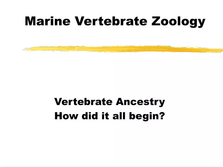 marine vertebrate zoology