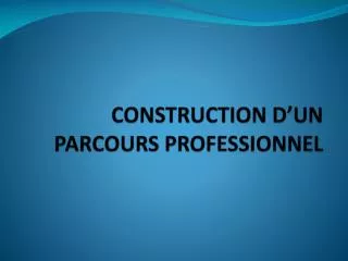 construction d un parcours professionnel