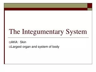the integumentary system
