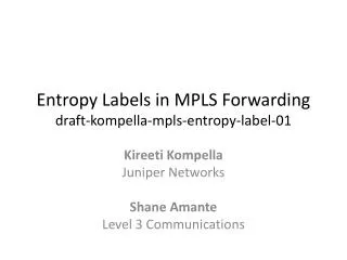 Entropy Labels in MPLS Forwarding draft-kompella-mpls-entropy-label-01