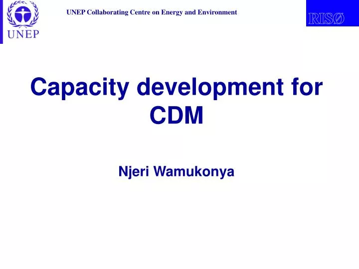 capacity development for cdm njeri wamukonya