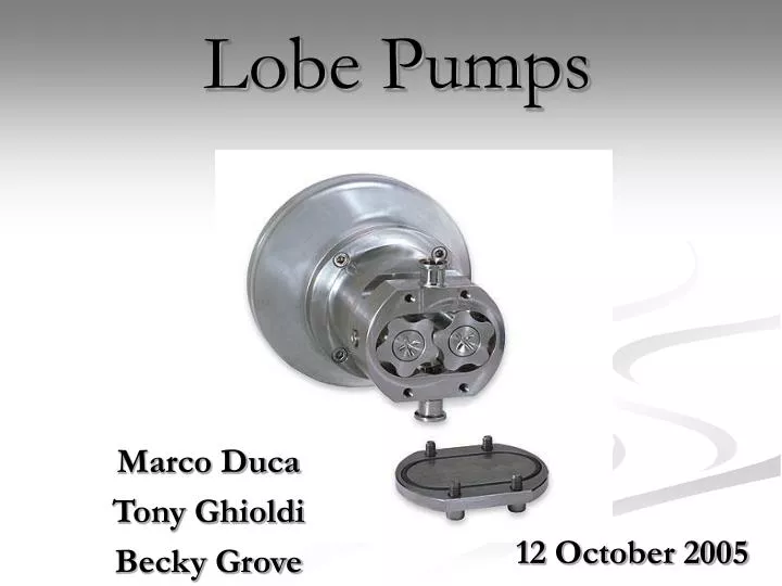 lobe pumps