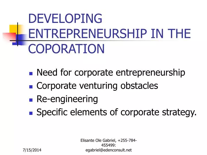developing entrepreneurship in the coporation