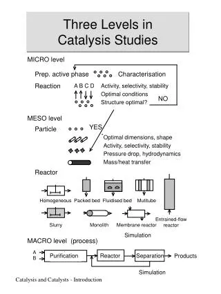 Three Levels in Catalysis Studies