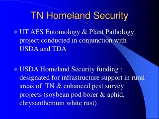 TN Homeland Security