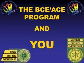 THE BCE/ACE PROGRAM AND YOU