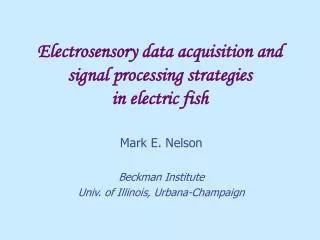 Electrosensory data acquisition and signal processing strategies in electric fish