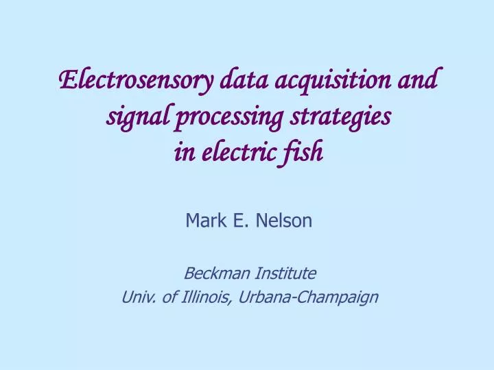 electrosensory data acquisition and signal processing strategies in electric fish