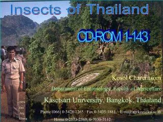Kosol Charernsom Department of Entomology, Faculty of Agriculture Kasetsart University, Bangkok, Thailand