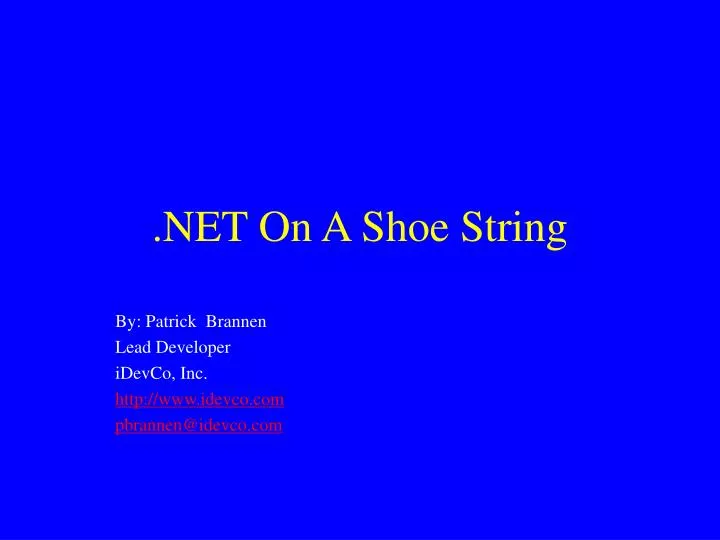 net on a shoe string