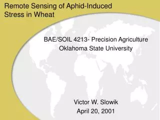 Remote Sensing of Aphid-Induced Stress in Wheat